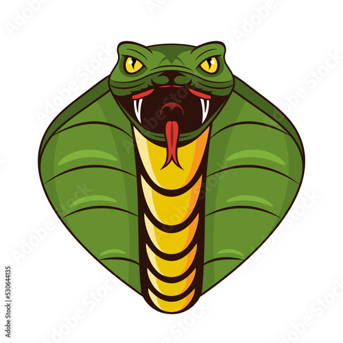 Cobra head with open mouth on white background
