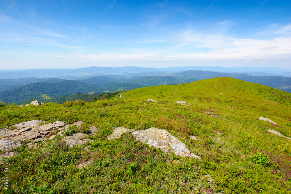 carpathian mountain landscape in summer. view in to the distant valley. grassy meadows and forested hills. sunny weather at high noon