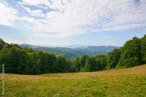 green pasture on the hillside. forested mountains in the distance. beautiful countryside landscape of transcarpathia in summer