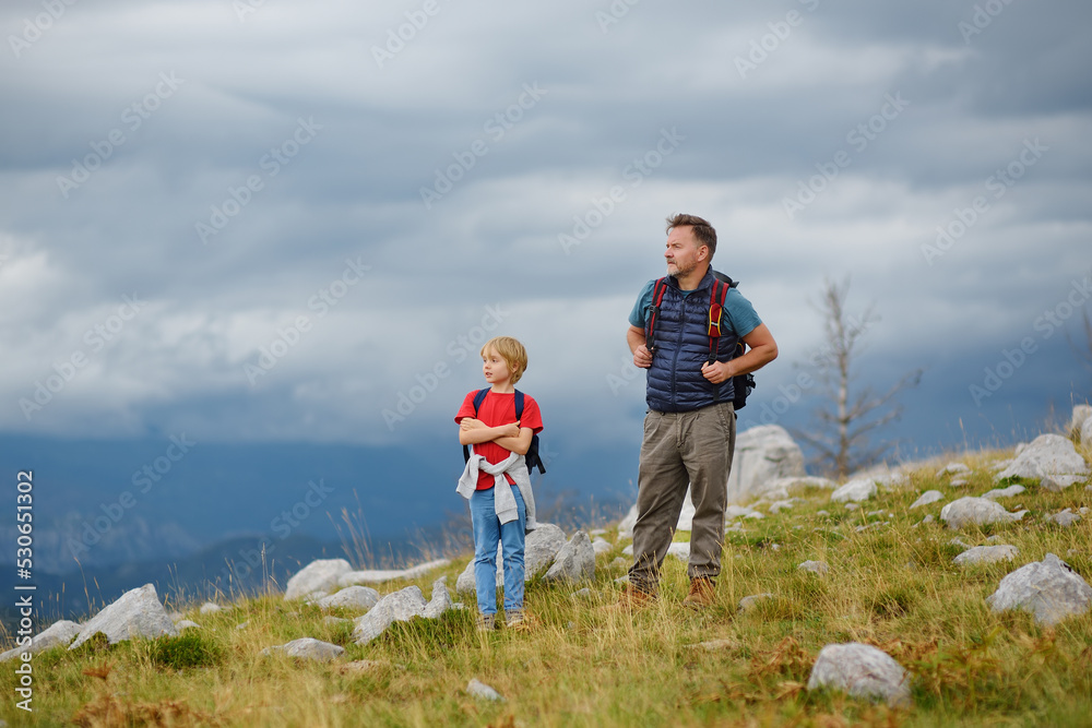 Cute schoolchild and his mature father hiking together on mountain and exploring nature. Concepts of adventure, scouting and hiking tourism for kids.