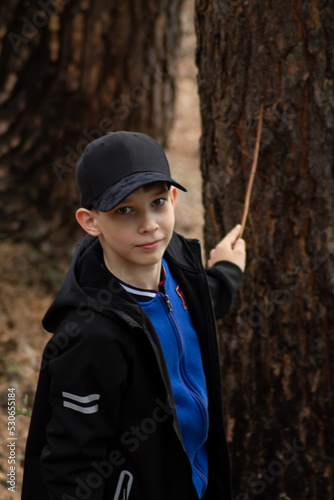 A boy in a pine forest, holding in his hand a stick pointed at the trunk of a tree
