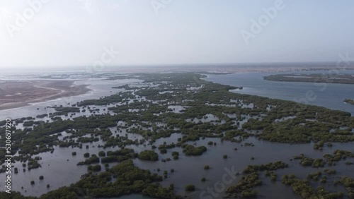 Mangrove in Senegal West Africa 10 - Sine Saloum. Shot taken by drone - Afrique photo