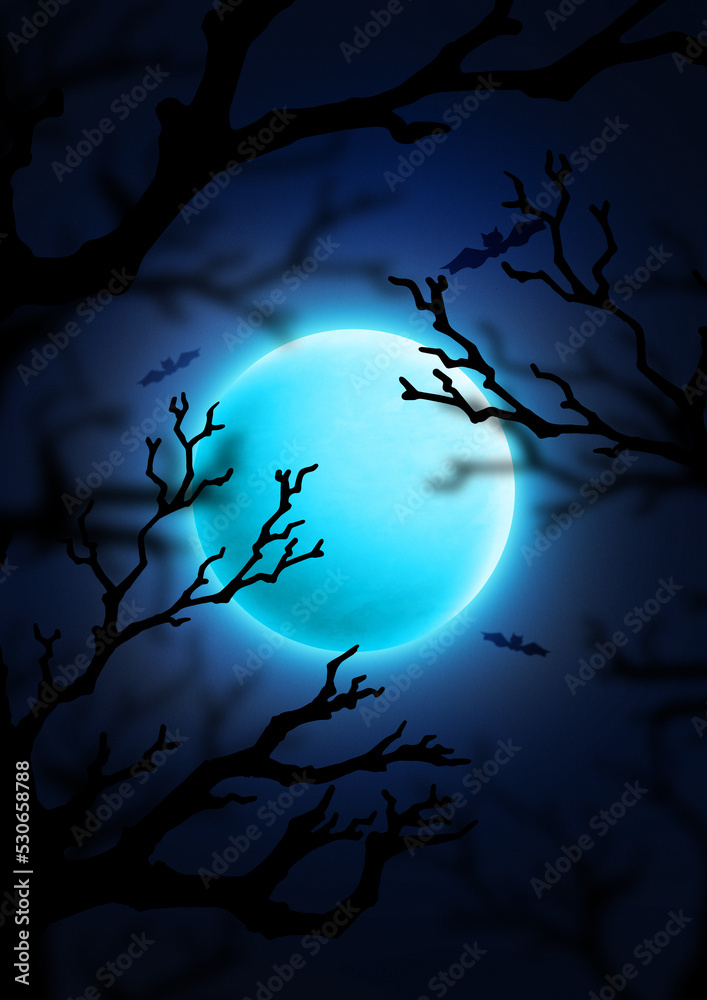 Cold moon light on dark sky illustration