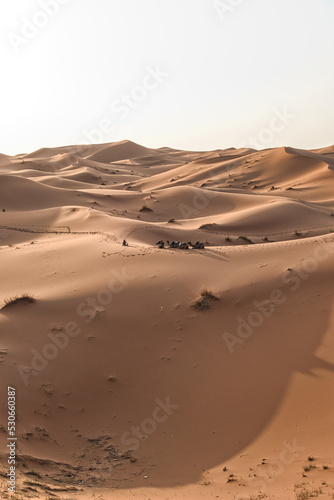 Dunes in the Sahara desert at sunset  the desert near the town of Merzouga  a beautiful African landscape