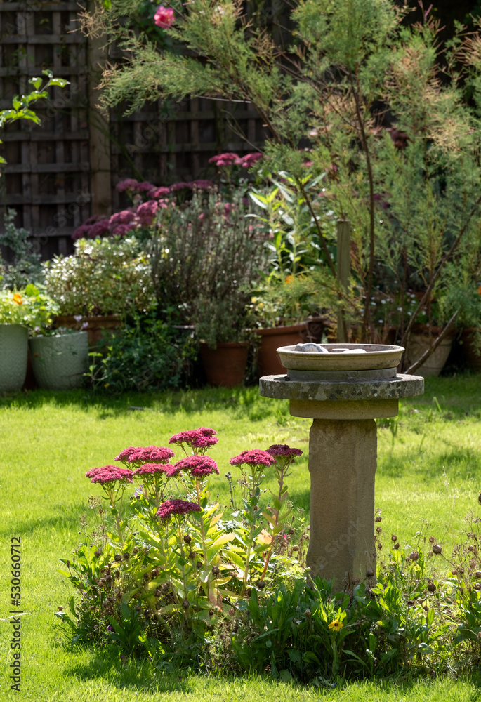 Wildlife friendly suburban garden with bird bath, pink sedum flowers in foreground, container pots, flowers and greenery. Photographed in Pinner, northwest London UK.