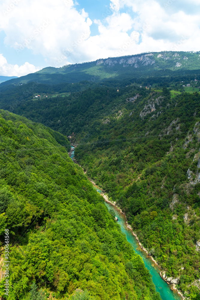 Mountain river Tara and canyon, Montenegro, natural landscape. Vertical image