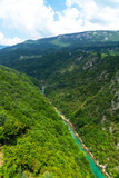 Mountain river Tara and canyon, Montenegro, natural landscape. Vertical image