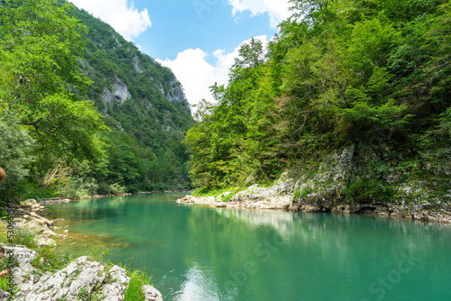 Mountain river Tara and canyon, Montenegro, natural landscape. Rivers of Europe