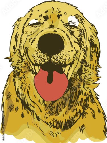Perro amarillo, de lineas, vectorizado , perro feliz