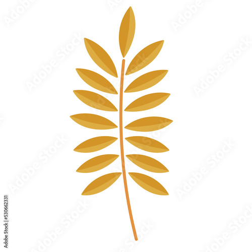 wheat spike branch