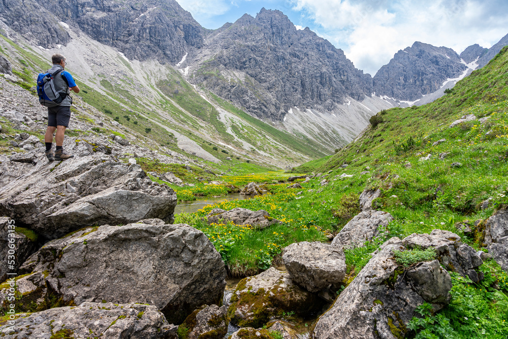 Urlaub im Kleinwalsertal, Österreich: Wanderung im Wildental, Fluchtalpe, Wiesalpe - Flußbett mit gelben Trollblumen