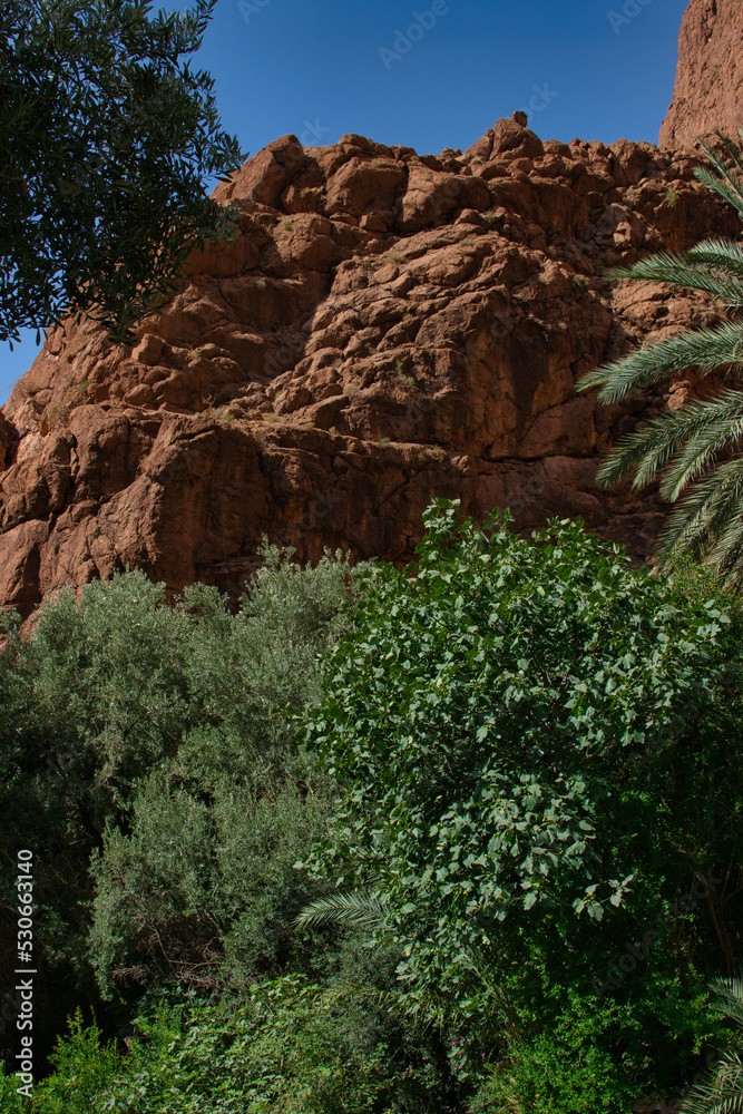 Todra gorge in Morocco, red rocks in Morocco, exploring the gorge, beautiful Moroccan landscape