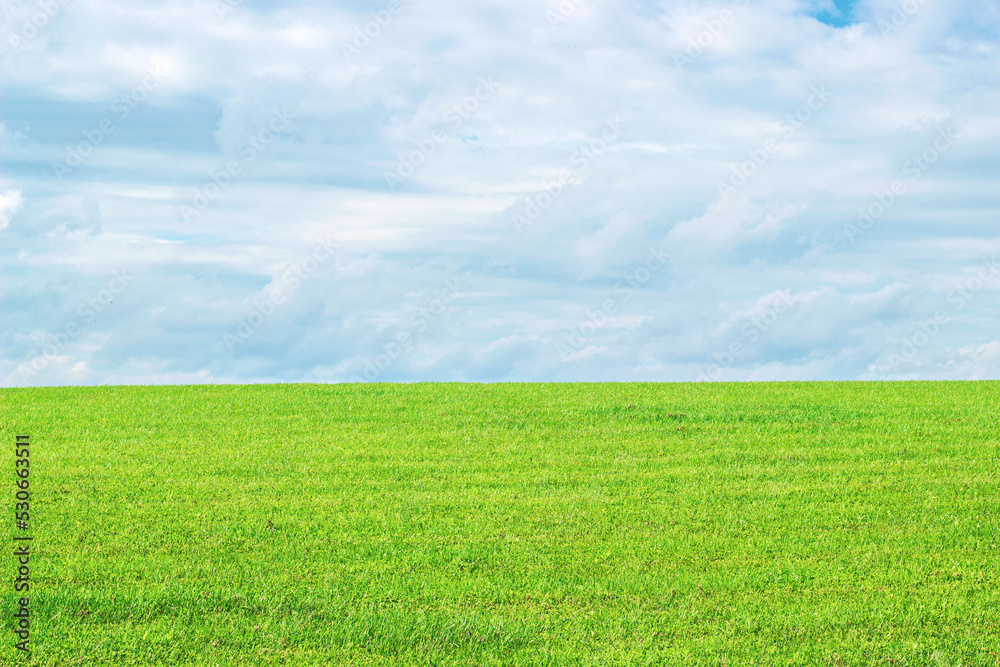 green field and cloudy sky. grass and clouds. Beautiful landscape. background. horizontal crop. Place for text