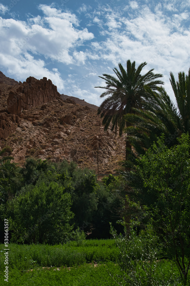 Todra gorge in Morocco, red rocks in Morocco, exploring the gorge, beautiful Moroccan landscape Todra gorge in Morocco, red rocks in Morocco, exploring the gorge, beautiful Moroccan landscape