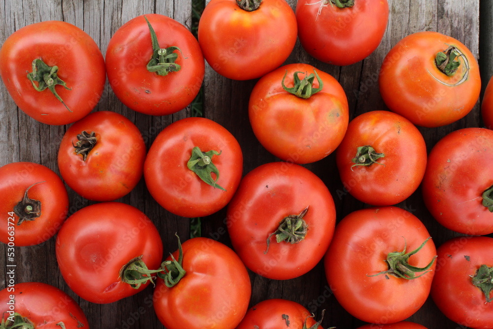 red tomatoes on wood red tomatoes on wood