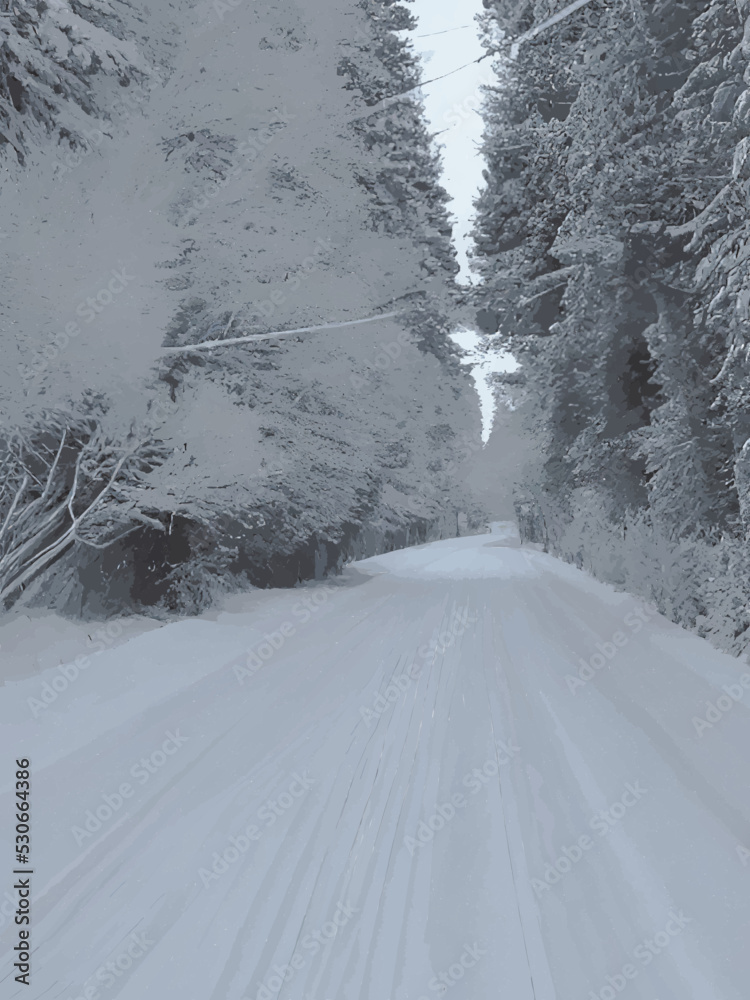Obraz premium snow covered road