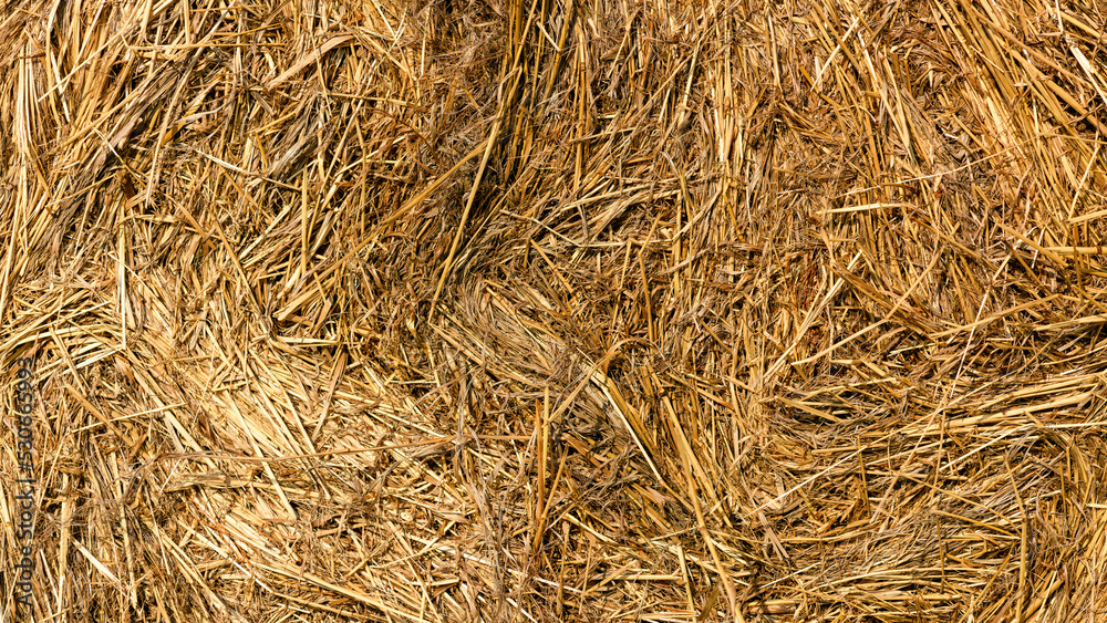 Haystack close-up. Straw texture background close up. Harvest concept. Abstract backdrop Haystack close-up. Straw texture background close up. Harvest concept. Abstract backdrop