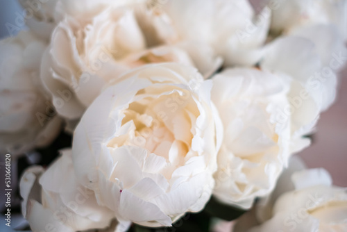 stunning bouquet of beautiful white peonies  wedding bouquet  wedding backdrop  flower backdrop  quote backdrop  glamor bouquet