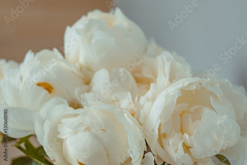 stunning bouquet of beautiful white peonies, wedding bouquet, wedding backdrop, flower backdrop, quote backdrop, glamor bouquet © Silga