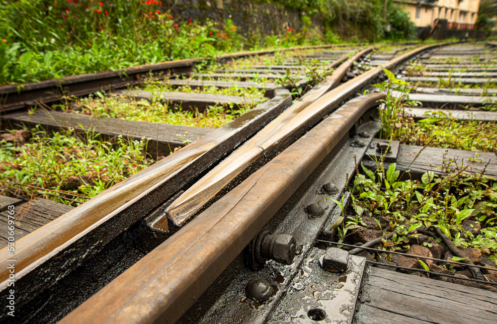 railroad tracks in the woods - track changing joint railroad tracks in the woods - track changing joint