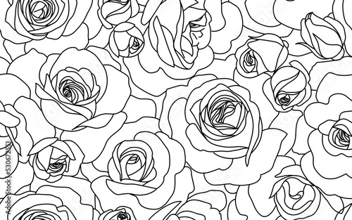 Abstract seamless pattern with roses. Beautiful blossoming hand drawn flower with bud on white background. Line art for wedding design. Vector stock illustration