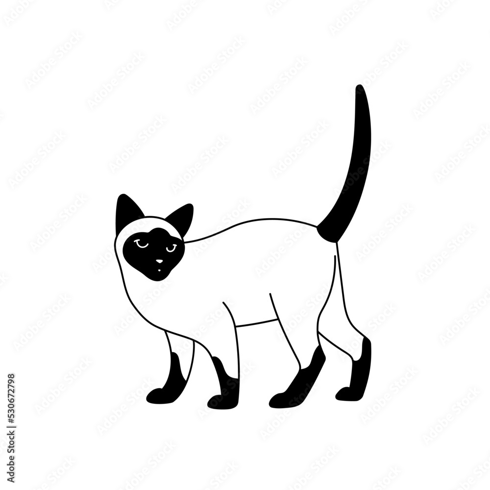Simple black and white image of a Thai cat Simple black and white image of a Thai cat