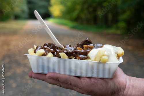 Traditional street food in Belgium, French fried potatoes with beef stew and mayonnaise photo