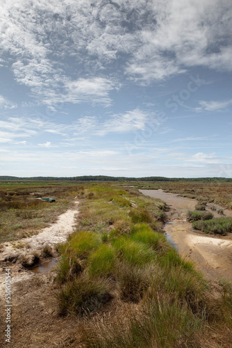 Walkway in the maritime moor at low tide