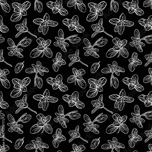 Basil Seamless Pattern. Italian herbs.A sprig of marjoram. Basil is a fragrant and fragrant seasoning. Hand-drawn illustration