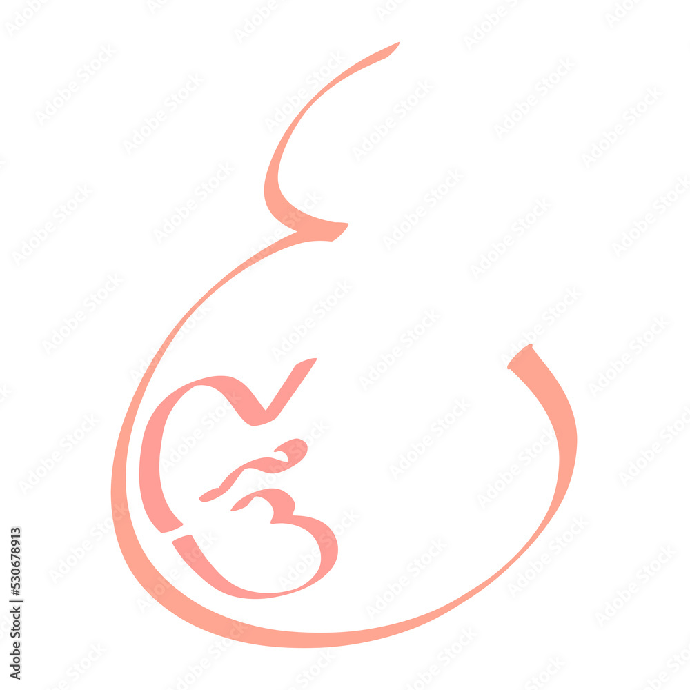 baby in the womb of a pregnant woman, shortly before childbirth, abstract sketch on a white background baby in the womb of a pregnant woman, shortly before childbirth, abstract sketch on a white background
