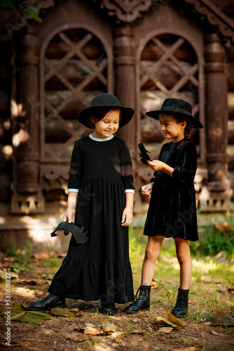 Two beautiful girls in black dresses and hats,standing in the park and holding bats in their hands, for the Halloween holiday
