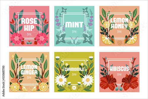 The set banners of herbal tea for packing. Herbs in frames. Treatment tea.