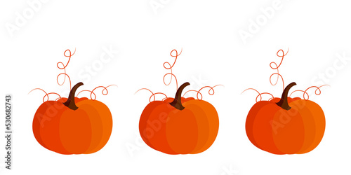 halloween pumpkin isolated on white