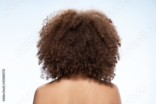 Back view of young woman. Nude young caucasian brunette woman. Curly fluffy hair. Isolated on white