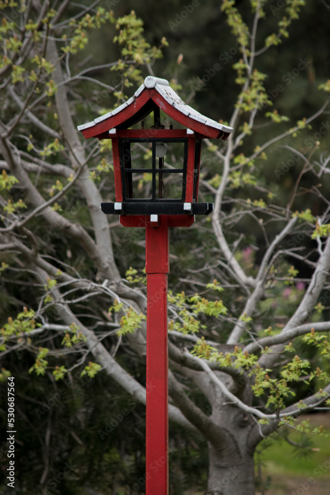 faroles tradicionales en el jardín japonés