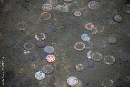 Tableau sur toile monedas en el fondo del estanque