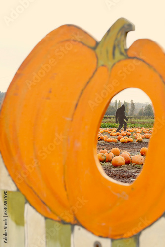 Pumpkin patch Sasquatch 