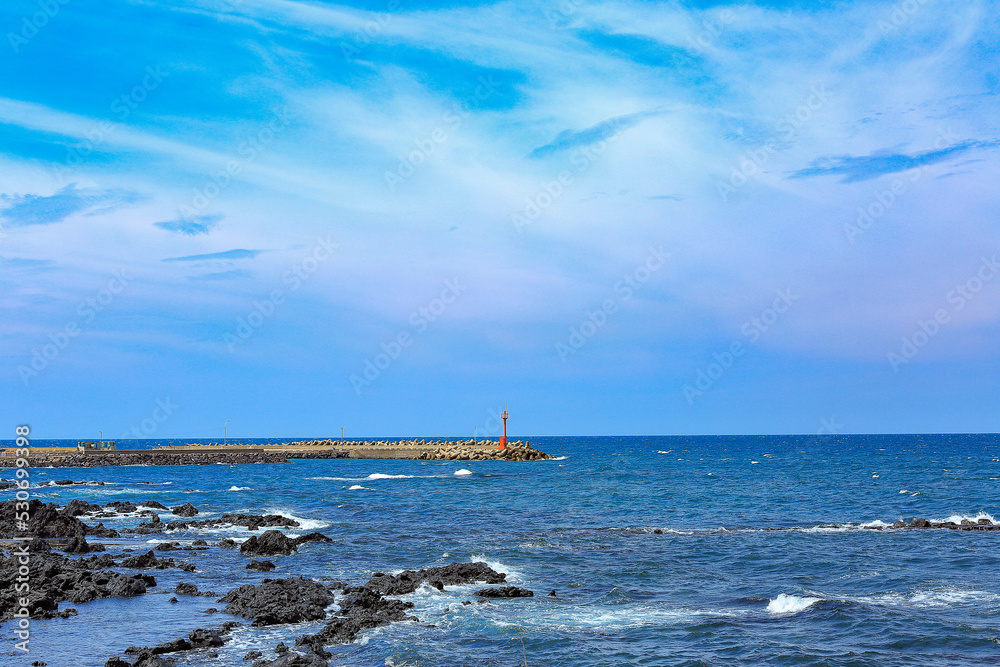 제주도 산책로의 풍경