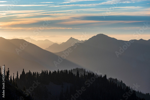 dramatic sunset in Hurricane Ridge with the silhouette of the mountains on the background and the meadow bathed in golden sunlight. 