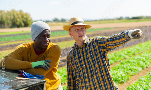 Two men farm workers talking and pointing to something while standing near car at farm field