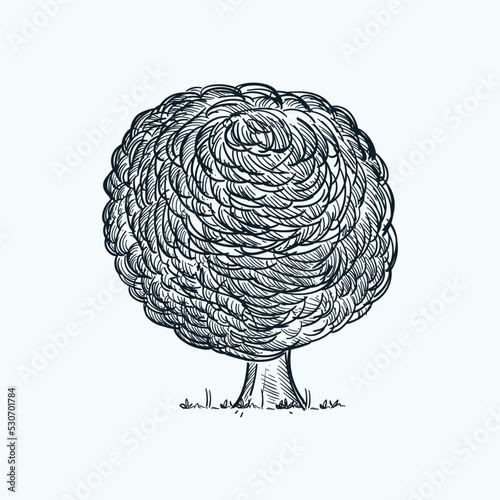 Vintage hand drawn sketch imaginary plant