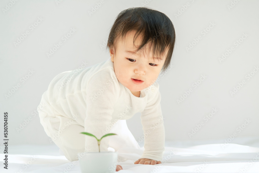 ハイハイする赤ちゃん ハイハイする赤ちゃん