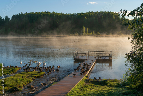 View of Gorodishchenskoe Lake in the Izborsko-Malskaya Valley and on a sunny summer morning, Izborsk, Pechersk district, Pskov region, Russia