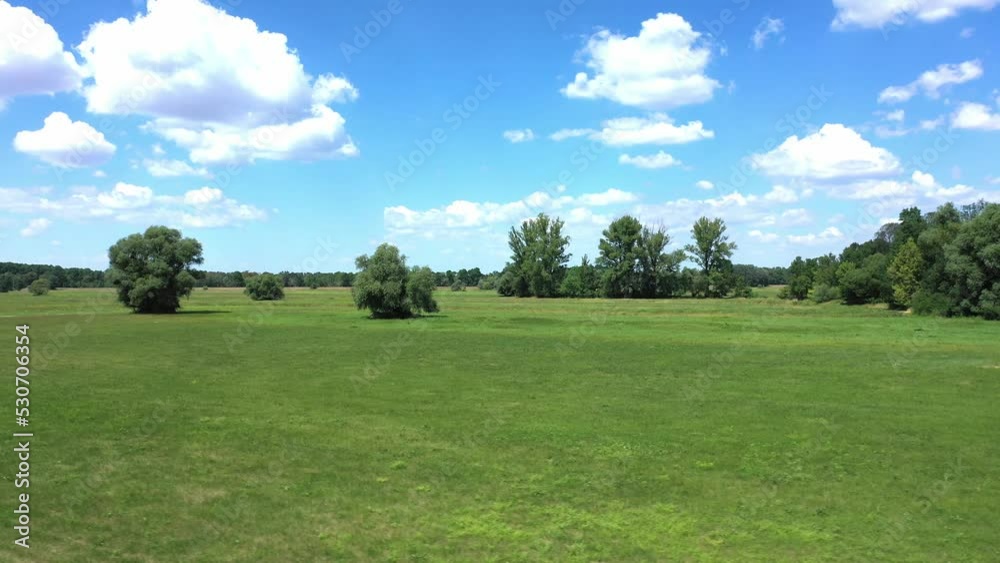 Green Trees Growing In The Grassland At Daytime With Clouds In The Blue Sky In The Background. - aerial Green Trees Growing In The Grassland At Daytime With Clouds In The Blue Sky In The Background. - aerial