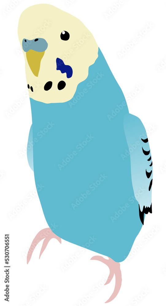 Obraz premium 青いセキセイインコのイラスト