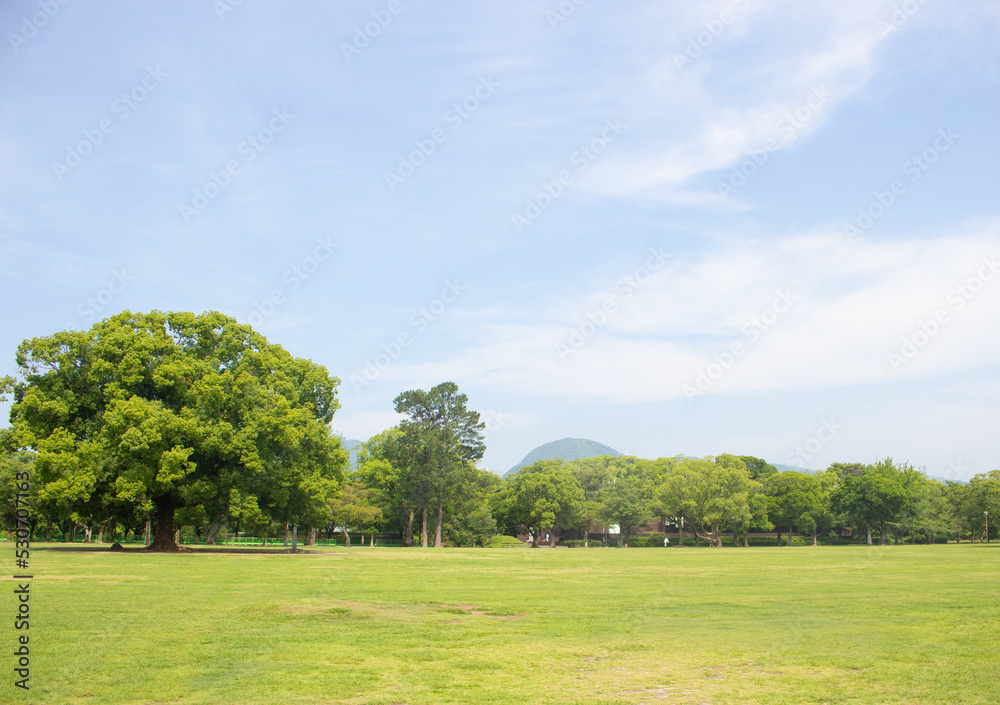 Beautiful green lawn in Kumamoto, Japan