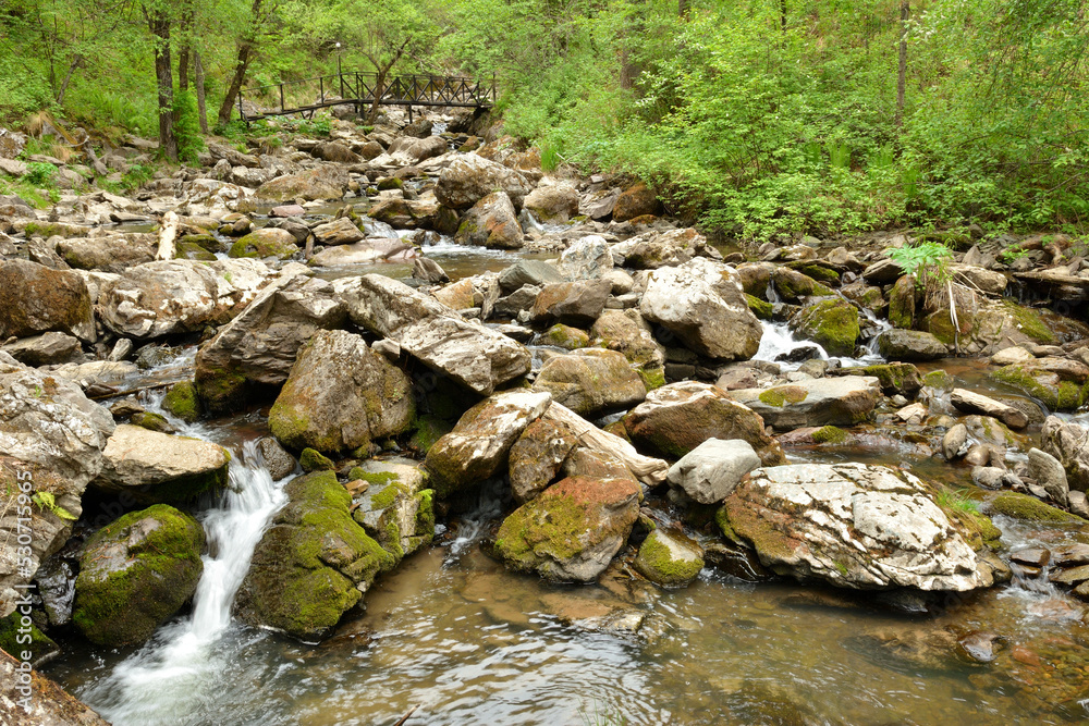 A stormy stream of a small mountain river flowing around stone boulders and trunks of fallen trees through the morning forest after rain. A stormy stream of a small mountain river flowing around stone boulders and trunks of fallen trees through the morning forest after rain.