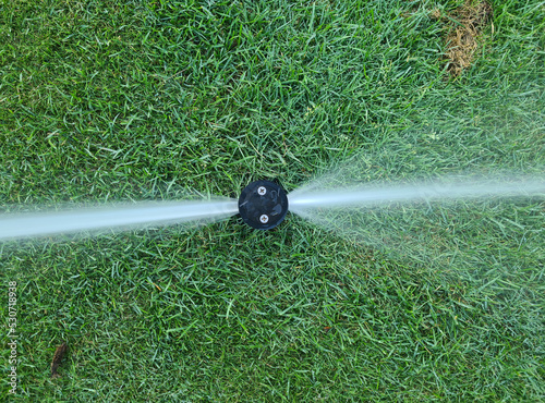 Automatic garden lawn sprinkler in action for watering grass