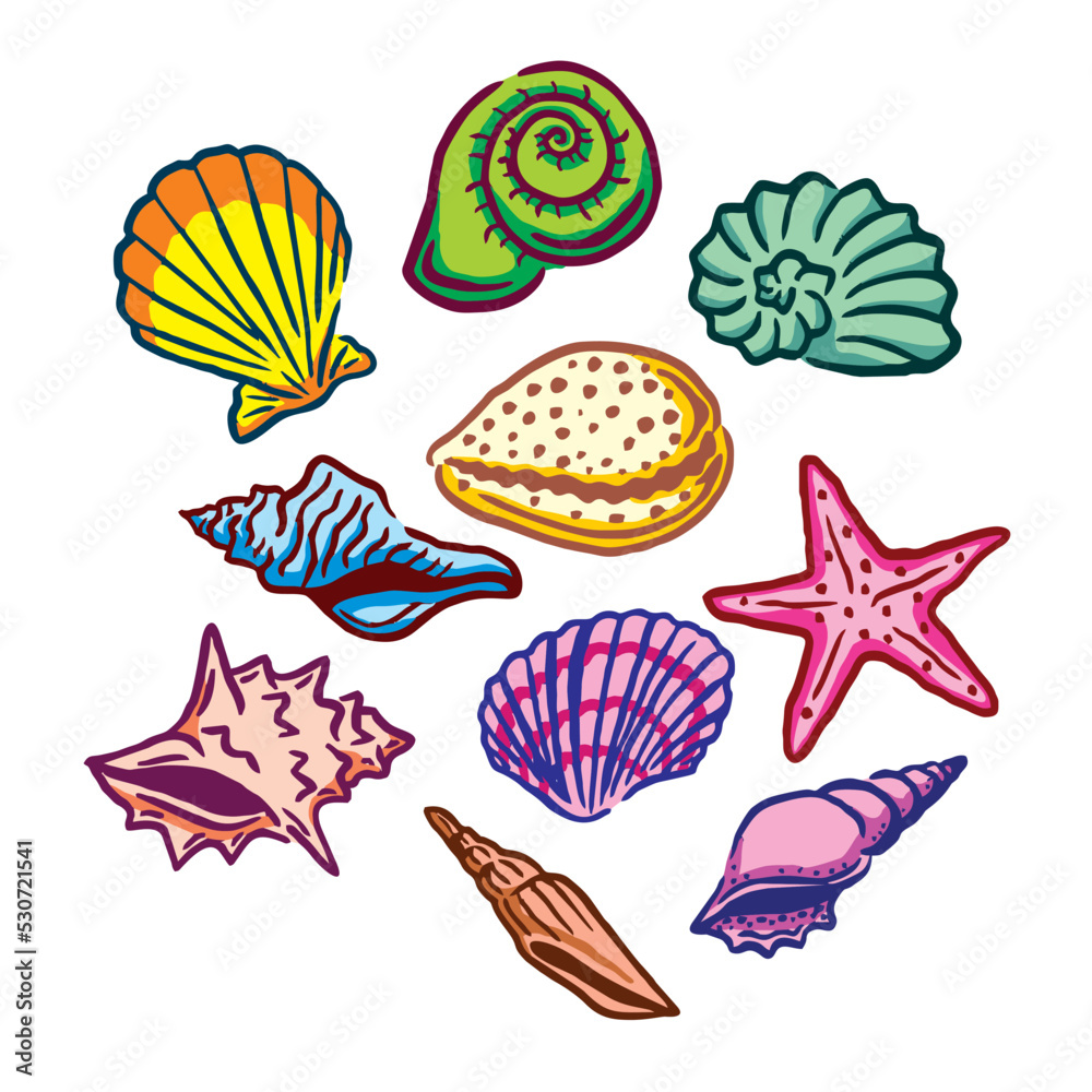 set of sea shells set of sea shells