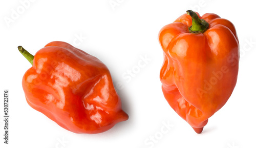 habanero chili peppers isolated on white background, red color hot variety of capsicum, collection with different angles photo